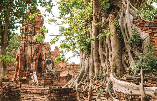 Zugmarkt, schwimmender Markt & Ayutthaya - Tagestour - Foto 3